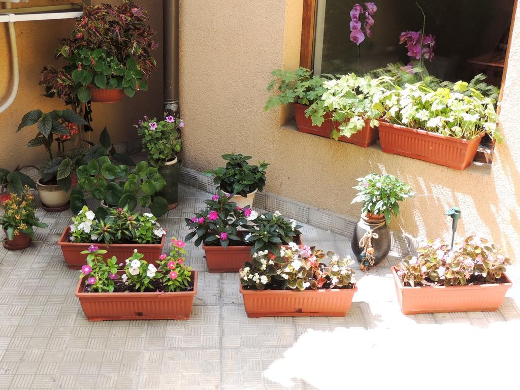Guest House Solo Σούμεν Εξωτερικό φωτογραφία
